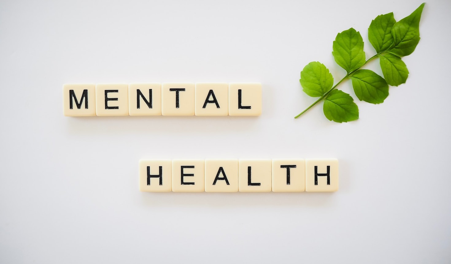 The Importance of Mental Health Support for First Responders